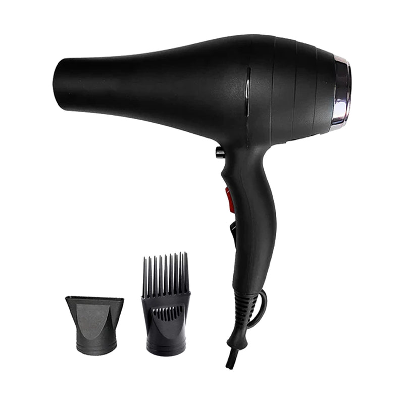 PROFESSIONAL MAXI HAIR DRYER HD-8020