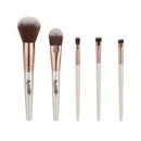 ALLURE MAKE-UP BRUSH SET 1X5 PCS | SET ME BRUSHA PËR GRIM