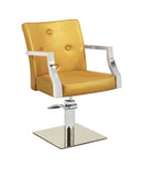 PROFESSIONAL EQUIPMENT CHAIR (GOLD) BQ-2958 | KARRIGE NGJYRË ARI