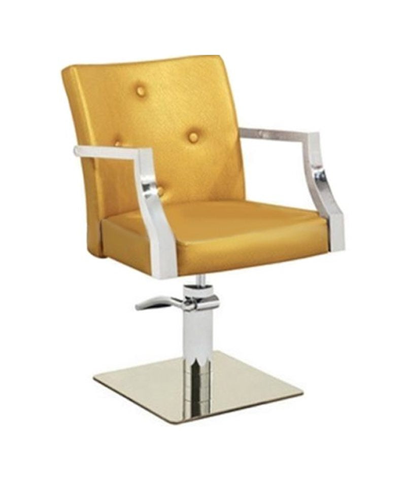 PROFESSIONAL EQUIPMENT CHAIR (GOLD) BQ-2958